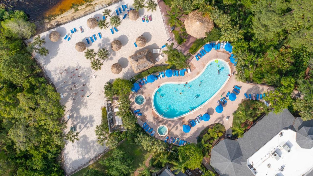 Cristina'S Tropical Villa/ Just Minutes From Disney! คิสซิมมี ภายนอก รูปภาพ